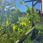 Bluetenstoeckl Holiday home Frutten