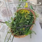 Holiday home Bluetenstoeckl Frutten