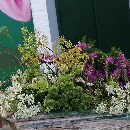 Tiny Lavender House Blütenstöckl Ferienhaus