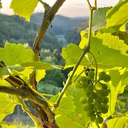 Bluetenstoeckl Vakantiehuis Frutten