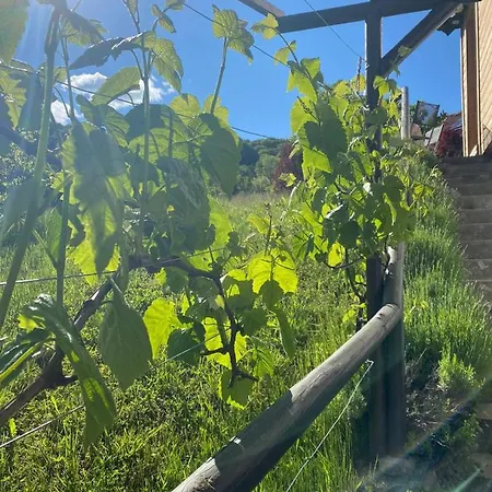 Tiny Lavender House Blütenstöckl Ferienhaus Frutten