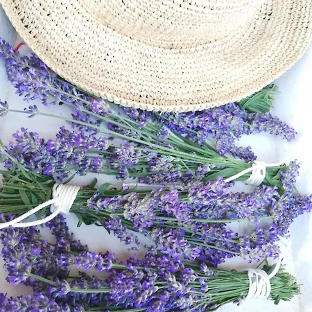 Tiny Lavender House Blütenstöckl