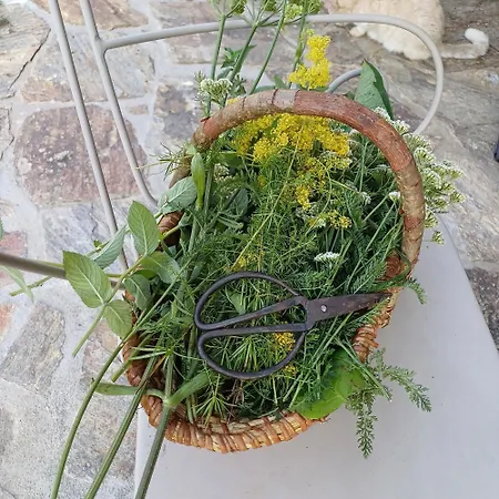 Ferienhaus Tiny Lavender House Blütenstöckl Frutten