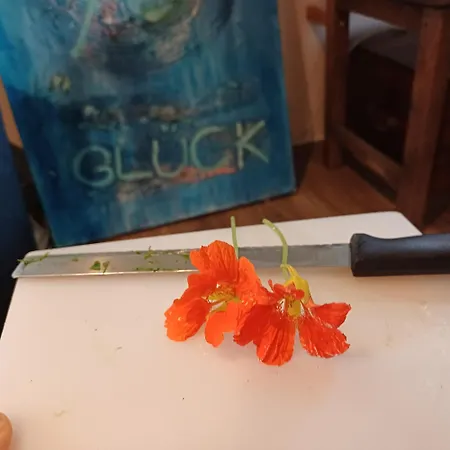 Bluetenstoeckl * Frutten