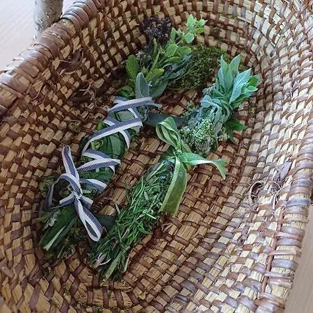 펜션 Bluetenstoeckl