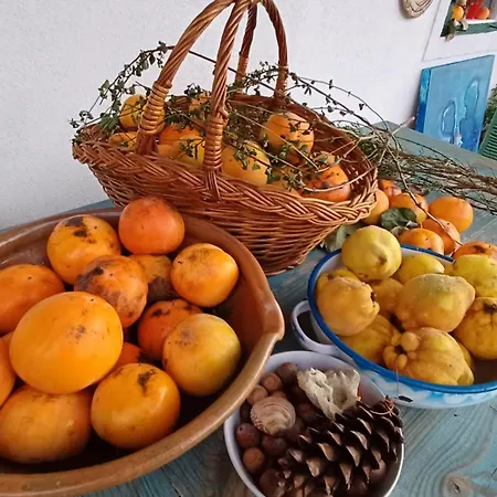 Bluetenstoeckl 펜션 *