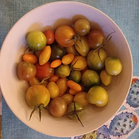 Bluetenstoeckl Nyaraló Frutten