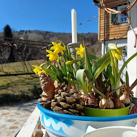 Tiny Lavender House Blütenstöckl