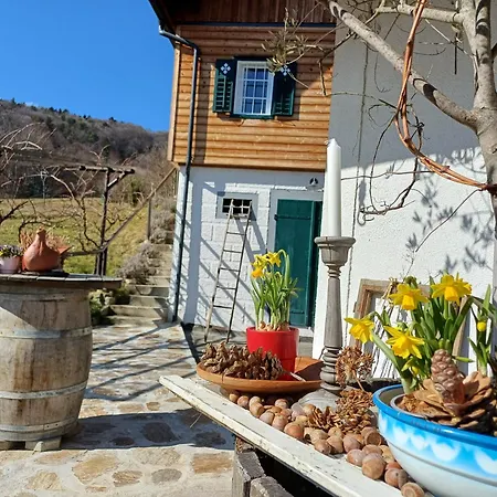 Tiny Lavender House Blütenstöckl Frutten