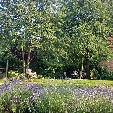 Tiny Lavender House Blütenstöckl * Frutten