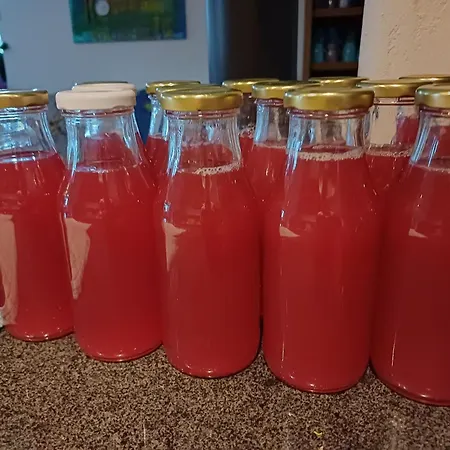 펜션 Bluetenstoeckl