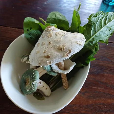 Bluetenstoeckl Casa de Férias Frutten