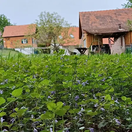 Holiday home Bluetenstoeckl Frutten