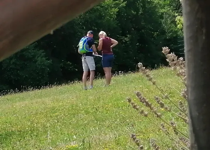 Bluetenstoeckl Holiday home *