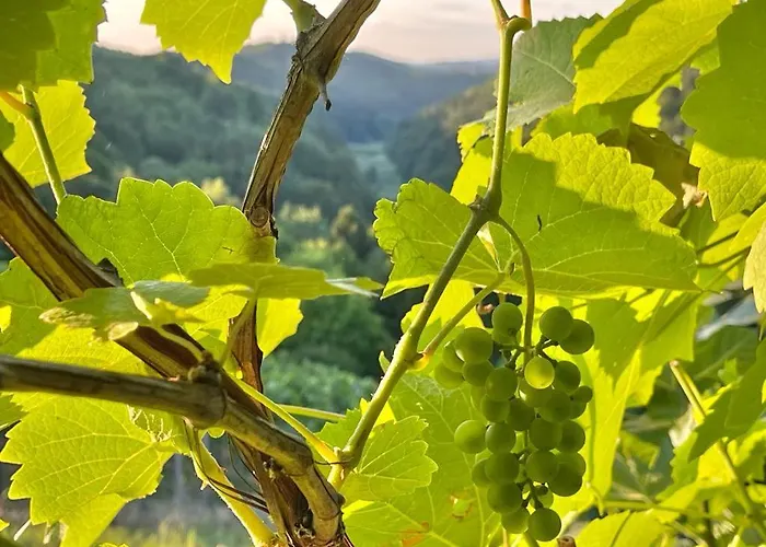 Bluetenstoeckl Holiday home Frutten