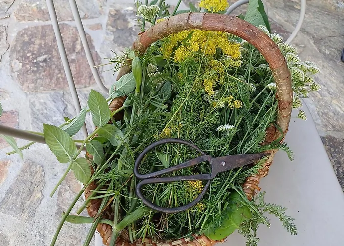 Holiday home Bluetenstoeckl Frutten