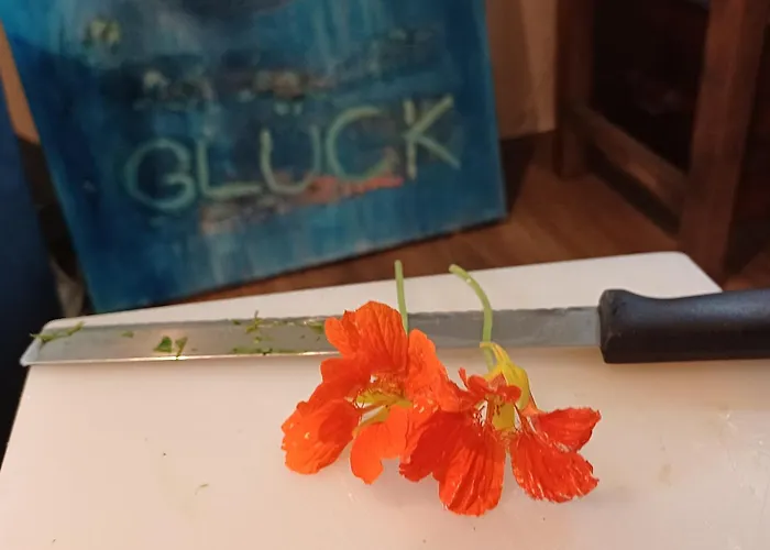 Bluetenstoeckl * Frutten