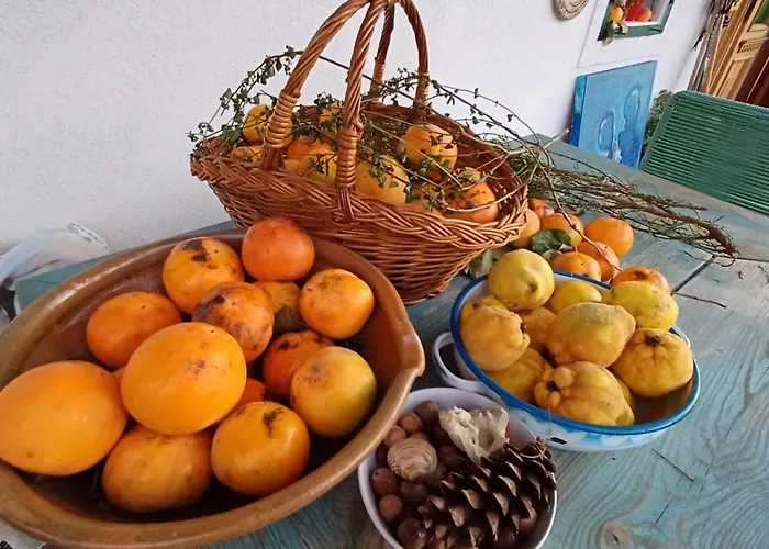 Bluetenstoeckl Holiday home *