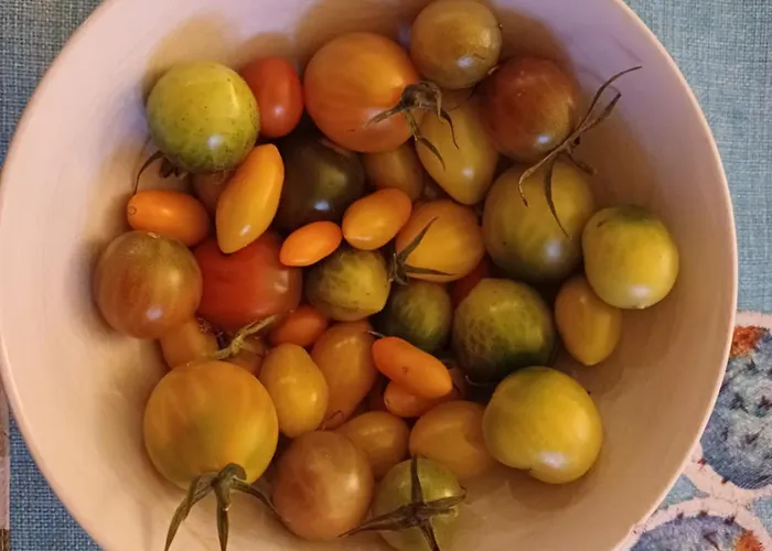 Bluetenstoeckl Holiday home Frutten