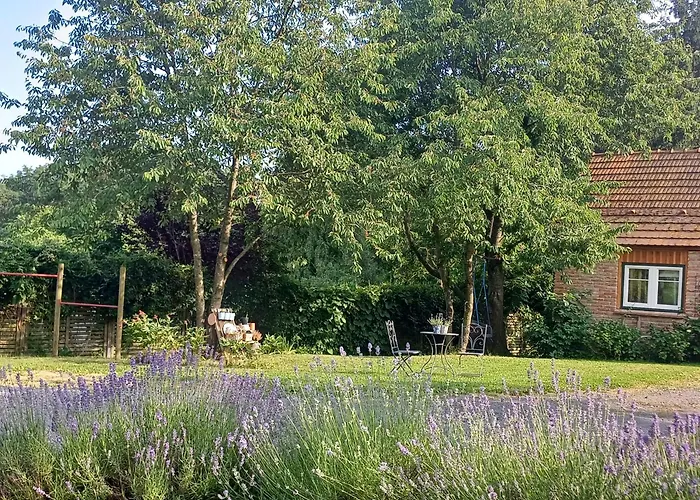 Bluetenstoeckl * Frutten