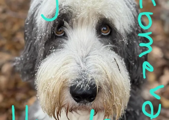 Bluetenstoeckl Frutten