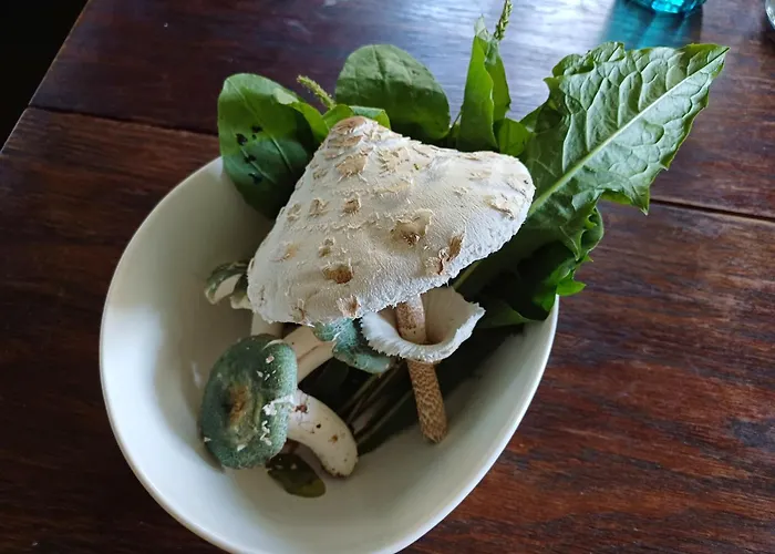 Bluetenstoeckl Holiday home Frutten